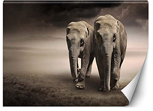 Feeby Fototapete XXL Elefanten-Paar Sawanna 400x280 cm Braun Vliestapete Moderne Design Wandtapete Küche Flur Wohnzimmer Büro Badezimmer Kinderzimmer Wolken Staub Afrika