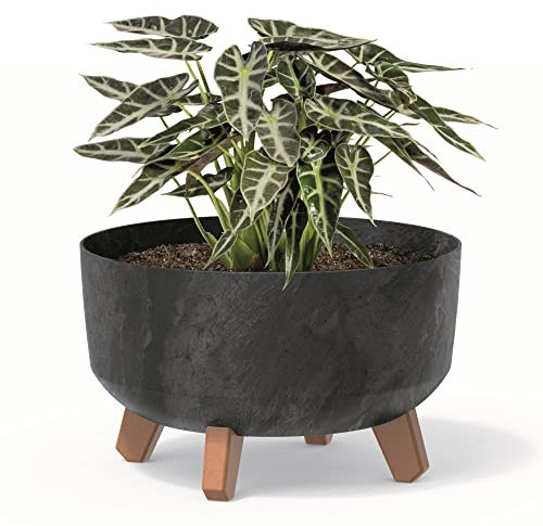 botle Bonsai Schale Baum Mini Garten Blumentopf an den Füßen Pflanzkübel D 28,5 cm Anthrazit Kunststoff Töpfe mit Einsatz Beton Optik Übertöpfe