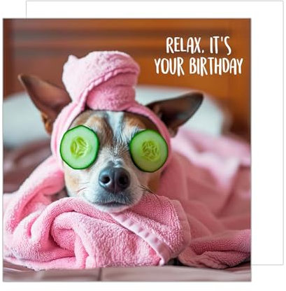 Edition Seidel Premium quadratische Geburtstagskarte mit Umschlag. Glückwunschkarte Happy Birthday Billet Tier Karte Mann Frau Cooler Hund Humor Lustig (GQ160 SW024)