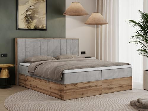MKS MEBLE Boxspringbett 160x200 Mit Bettkasten Eiche, Polsterbett Mit Matratze H4, Kopfteil, Holzrahmen in Wotan Eiche - Hellgrau Velvet - Bellissimo