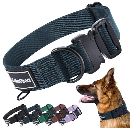 Robustes Hundehalsband für Große & Mittelgroße Hunde – Verstellbar, Doppellagiges Nylon, Metallschnalle, Reißfest & Ideal für Aktive Hunde (Dunkelblau, Groß (38-58 cm))