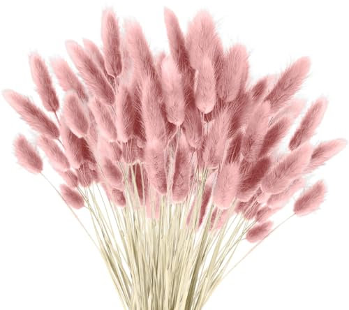 120 PCS Pampa séchée, Fleurs séchées Pampa Plante Fleurs séchées moelleuses, bohème décoration intérieure Arrangement Floral (Rose)