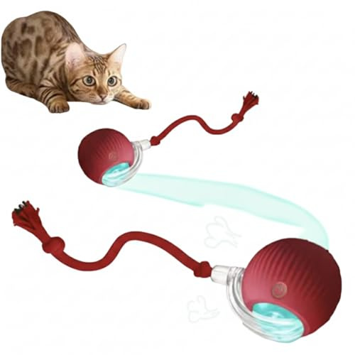 Jouet interactif pour Chat et Petit Chien – Boule roulante Automatique, Rechargeable, Imitation Souris, Couleur Rouge