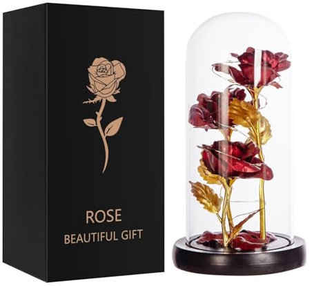 Qtuie Rose Flower Gifts for Women Birthday Gifts For Mum Forever Rose Present for Her Wife Grandma Girlfriend Eternal Roses in A Glass Dome Christmas Valentine's Mother's Day (3 Roses)