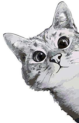 WOWDECOR DIY Malen nach Zahlen für Erwachsene Kinder Mädchen, Süße Katze 40x50 cm Vorgedruckt Leinwand-Ölgemälde (ohne Rahmen)
