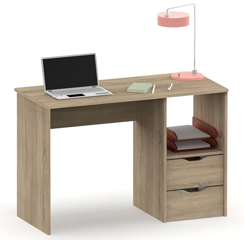 briebe Schreibtisch mit Schubladen, Computertisch 76 x 115 x 50 cm (H x B x T), 2 Schubladen + Regal, Büro, Jugendzimmer, Schreibtisch, Prakt Eiche Cambrian