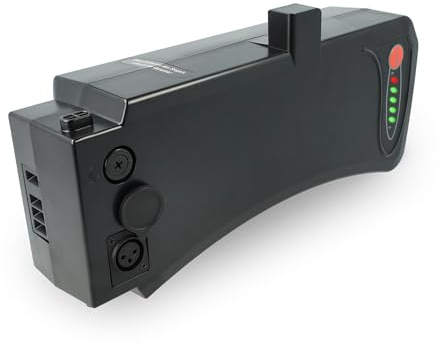 vhbw Akku Ersatz für CS-PRT360SL für E-Bike (10,4 Ah, 36 V, Li-Ion) - Schwarz