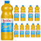 Senf mittelscharf Flasche 1000 ml x 10 Stücks