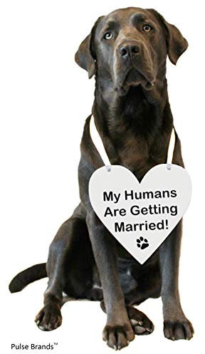 Pulse Brands Foto-Requisitenschild zur Verlobung - My Humans are Getting Married - Verlobungsgeschenke - Bride to Be - Engaged - Verlobungsgeschenke für Paare (weiß)
