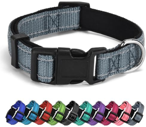 AUDWUD Dickes Nylonhalsband,klassisches verstellbares Hundehalsband in Mehreren Farben,geeignet für kleine,mittlere und große Hunde,4 Größen