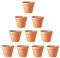 Molyorch 10 pièces 5 * 5.5cm Pot en Terre Cuite de Succulent Cactus, pour Cactus, Fleurs, Plantes Grasses, Parfaits pour LeJardinage, Le Bricolage ou des Cadeaux de Mariage (5.5 * 5cm)