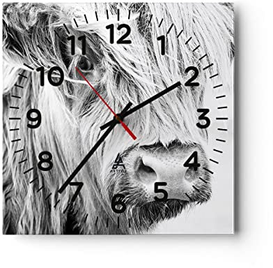 Modern Wanduhr Kuh Scotch Tier 30x30cm Quadrat Klein Wand Uhr Glas Analog Zimmeruhren Küche Büro Wohnzimmer Glasuhr Wall Clock Dekoration Design Wanddekoration Küchenuhr C4AC30x30-5129