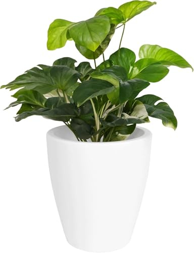 Elly Décor Pflanztopf für Garten mit Drainage, groß, rund, leicht und extrem langlebig, Kunststofftopf für drinnen und draußen, 43,2 x 38,1 x 22,9 cm, Weiß