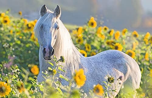 Ravensburger Puzzle 13316 - Sunflower Horse - 200 Teile Puzzle für Erwachsene und Kinder ab 14 Jahren
