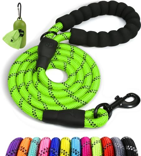 Taglory Laisse Chien Corde, Laisse pour Chien en Nylon avec Poignée Rembourrée Douce et des Fils réfléchissants pour Grande Taille, 180cm x 1.2cm, Vert