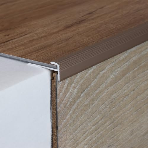 PROVISTON | Einfass- & Abschlussprofil | Aluminium | 10 x 25 x 1000 x 3 mm | Bronze Hell | Einschubprofil | Abschlussleiste | Bodenprofil