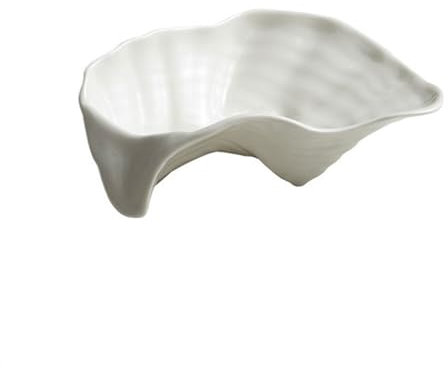 SDA287MZ Assiettes Plates Assiette Peu Profonde de ménage, hôtel Restaurant, Vaisselle spéciale exquise, Assiette à dîner créative en Forme d'huître Assiettes à Salade