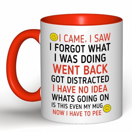 Funny 'I Came, I Saw, I Forgot' Coffee Mug – Humorous Gift for Men & Women, Perfect for Birthday Gifts, Christmas Presents & Office White Elephant (Red)