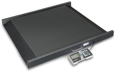 KERN Optics Rollstuhlwaage mit niedriger Bauhöhe für Bequemes Auffahren, 300 kg Wägebereich, 100 g Ablesbarkeit