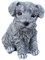 stoneandstyle Steinfigur Hund Schnauzer Gartenfigur frostfest wetterfest