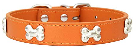 Mdurian Echtes Leder Metall Knochen Knochen besetzt Hundehalsband Sicher & Bequem Verstellbare Halsbänder für kleine mittelgroße Hunde, (S, Orange)