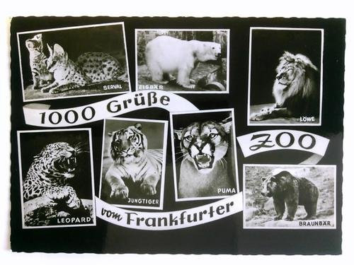 1 Postkarte: 1000 Grüße vom Frankfurter Zoo