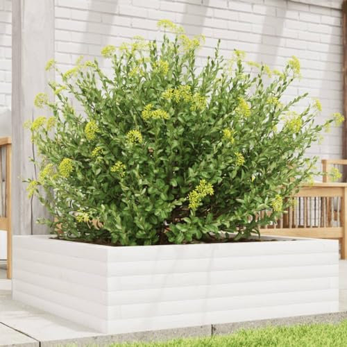 Higsose Jardinera para terrazas, 80 x 80 x 23 cm, madera de pino maciza, jardinera, jardinera, jardinera, jardín, color blanco