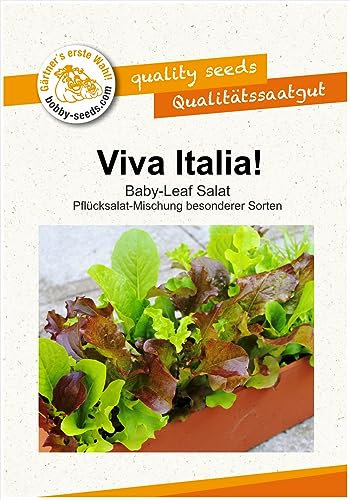 Viva Italia ! Babyleaf Pflücksalatsamen Mischung von Bobby-Seeds Portion