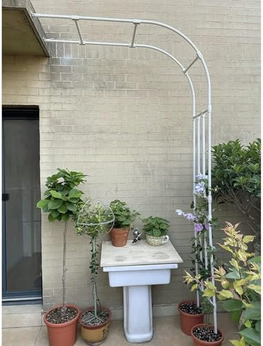 Traliccio da Giardino in Metallo per Piante di Rose, pergolato ad Arco, pergola fissata al Muro, Altezza 2,4 m, Resina Resistente agli Agenti atmosferici, Supporto Resistente, Bianco, W120XH