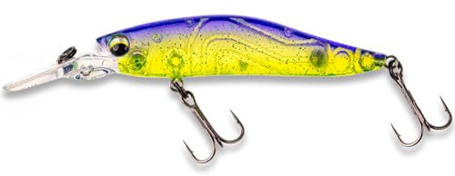 LMAB Flash Vibe 67, 80 & 98 mm - Twitchbait - Suspending & Floating, Hardbait, Wobbler Barsch, Suspender, Zander Wobbler (Lauftiefe 1,0-2,0 m | schwebend, Purple Rave, 67 mm)