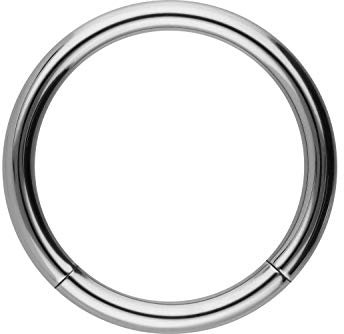 PIERCINGLINE Titan Segmentring silberfarben Piercing Ring Nase Septum Ohr Helix 1,2 x 6 mm