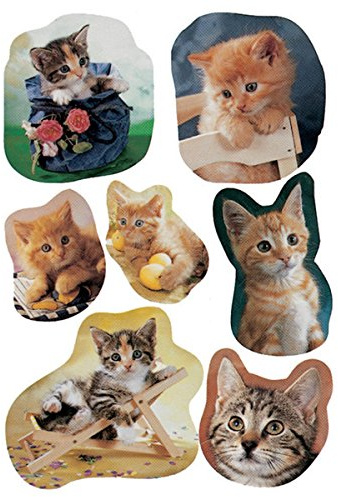 5747 Sticker DECOR fotogene Kätzchen