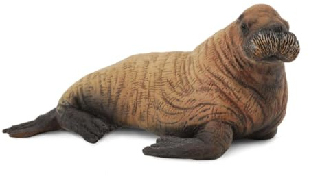 CollectA Walrus Calf, Animal Figure | Realistic Collectable Animal Figure for Imaginative Play, Gift for Kids Age 3+