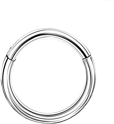 Melighting 925 Silber Knorpel Ohrring 18G Helix Piercings 6mm/8mm/10mm Helix Ohrring Septumring Daith, Conch, Tragus, Rook Piercings Hinged Segment Ring Knorpelpiercings