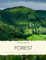 Picture Book of Forest: A walk in Nature, on Narrow Paths, Through Moss and Tall Pine Trees. (Nostalgia Coffee Table Books)