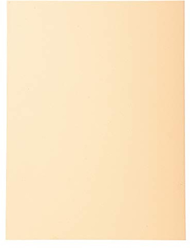 Exacompta - Ref 420002E - Forever Collection - Recycled Square Cut Folder - A4 (210 x 297mm), 170gsm Recycled Board, Blue Angel Certified - Buff (Pack of 100)
