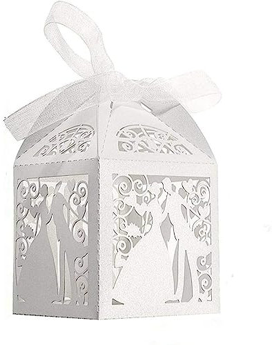 HJRUIUA 100 Stück Vogelkäfig Entwurf Mrs Mr Form Hochzeit Süßigkeiten Schachtel, Mini Schachteln, klein Schmuck Geschenkbox,Pralinenverpackung mit Farbband, zum Gastgeschenk, Hochzeit Party Dekoration