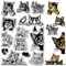 craspire Cartoon-Katze-Kätzchen-Stempel, Transparent, Süßes Tier, Vintage, Wiederverwendbar, Transparent, Silikon-Stempelsiegel Für Tagebuch, Kartenherstellung, Dekoration, DIY, Scrapbooking, Zubehör