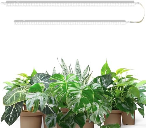 Barrina T5 2FT Plant Lights, 5000K White Full Spectrum Grow Light for Indoor Plants, 20W (2 x 10W) LED Grow Light Strip with On/Off Switch, Plug and Play, High PPFD, 2 Packs