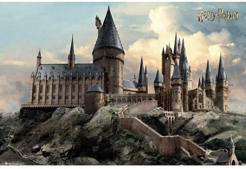 Harry Potter Poster Hogwarts Day, 61x91.5cm