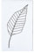 May and Berry Holzstempel - Blatt stilisiert, 35x55mm, Weiß