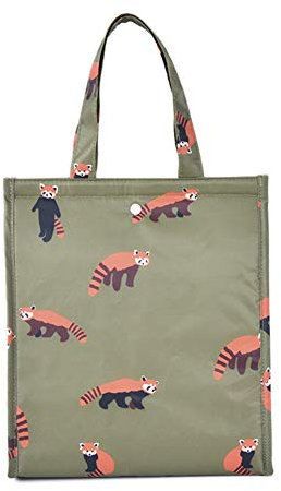 DAIHAN Isolierte Lunchtasche Wiederverwendbar Lunchbag mit Wasserdichter Isolierter Aluminiumfolie Lebensmitteltransport für Kinder Und Studenten,D,10L(25x15x27CM)