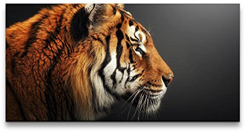 Paul Sinus Leinwandbild 120x60cm Schöner Tiger Tierfotografie Wild Raubkatze Kraftvoll