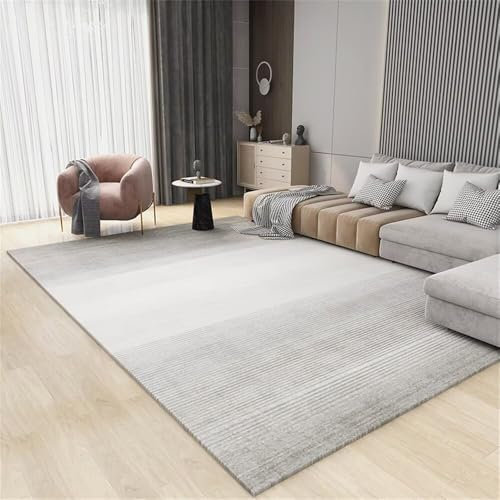 RUGMRZ Teppich Designer 300x400CM Grau modern Deko Moderner minimalistischer XXL Outdoor-Teppich Gamer