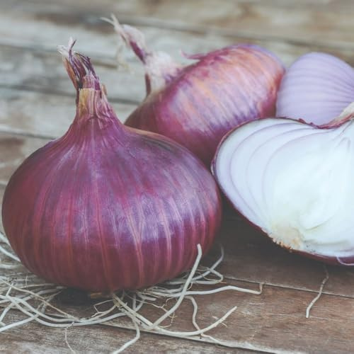Organic Red Baron Onion Sets - Stunning Deep Red Bulbs for Salads & Cooking - RHS AGM Variety - 500g Pack - Thompson & Morgan
