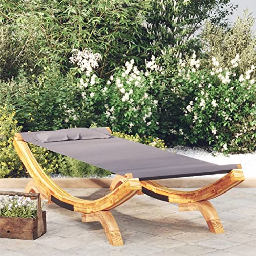Ziaphsol Lettino prendisole in legno massello, per esterni, colore antracite, 100 x 188,5 x 44 cm, lettino da giardino, per terrazza, balcone, piscina e spa