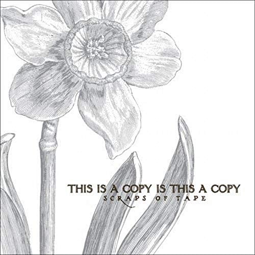 This Is a Copy Is This a Copy