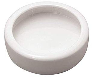 POPETPOP Reptile Food Dish Bowl, Worm Water Dish Small (3.74in) Lizard Gecko Ceramic Pet Bowls