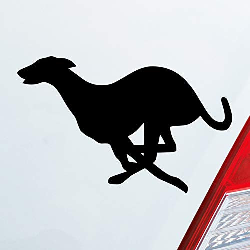 Hellweg Druckerei Windhund Hund Dog Animal Tier Auto Aufkleber Sticker Heckscheibenaufkleber