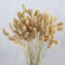 HUAESIN 100pcs Künstliche Blumen Getrocknet Pampasgras Natürliche Trockenblumen Klein Schlifgras Getrocknet Pampas Deko für Hause Hochzeit Party Hotel Vase Terrarium Bodenvase